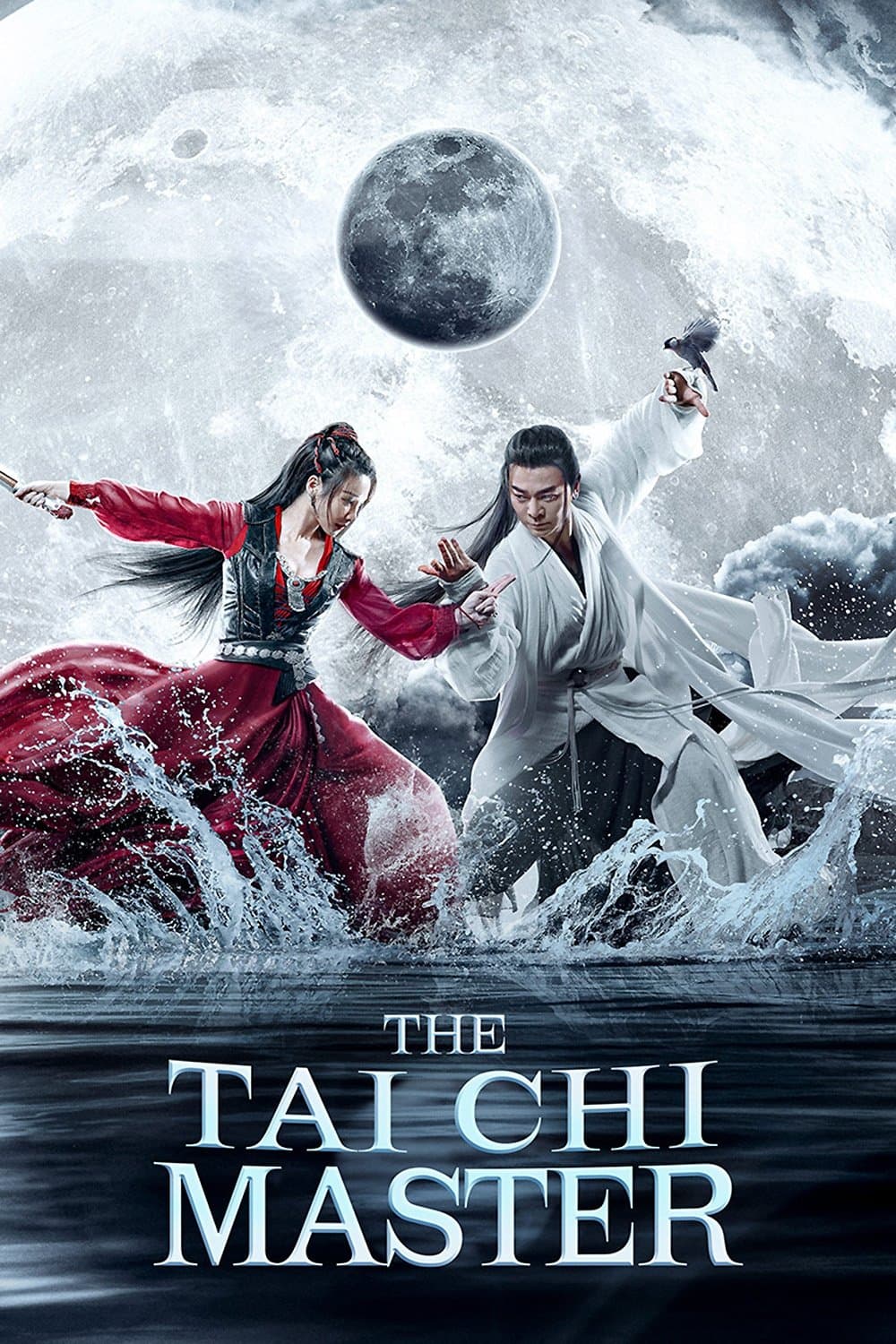Poster The Tai Chi Master