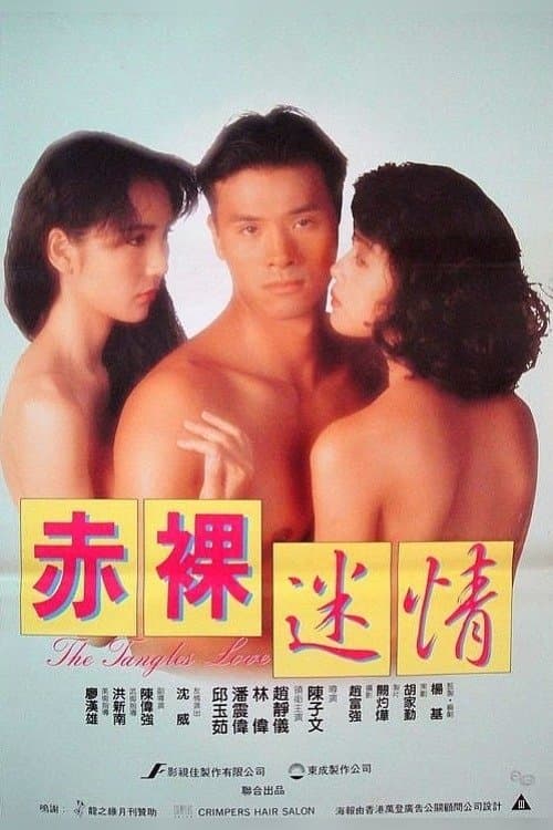 Poster The Tangles Love