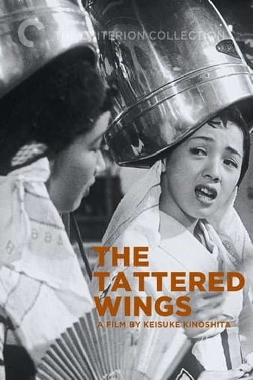 Poster The Tattered Wings
