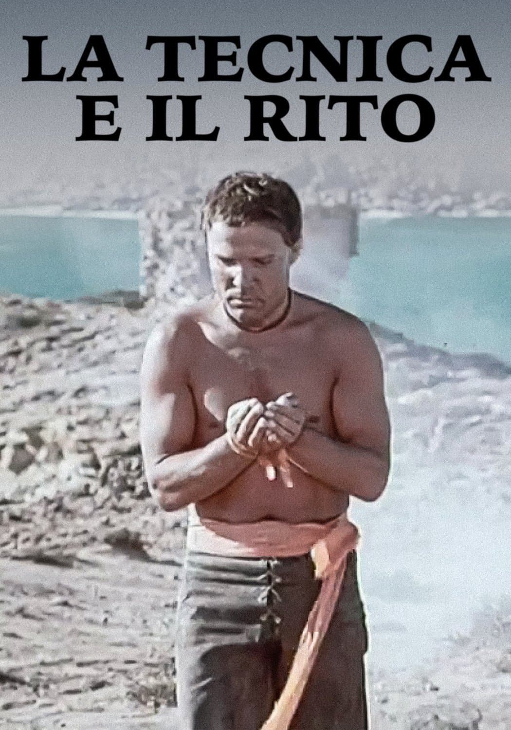Poster The Technique and the Rite