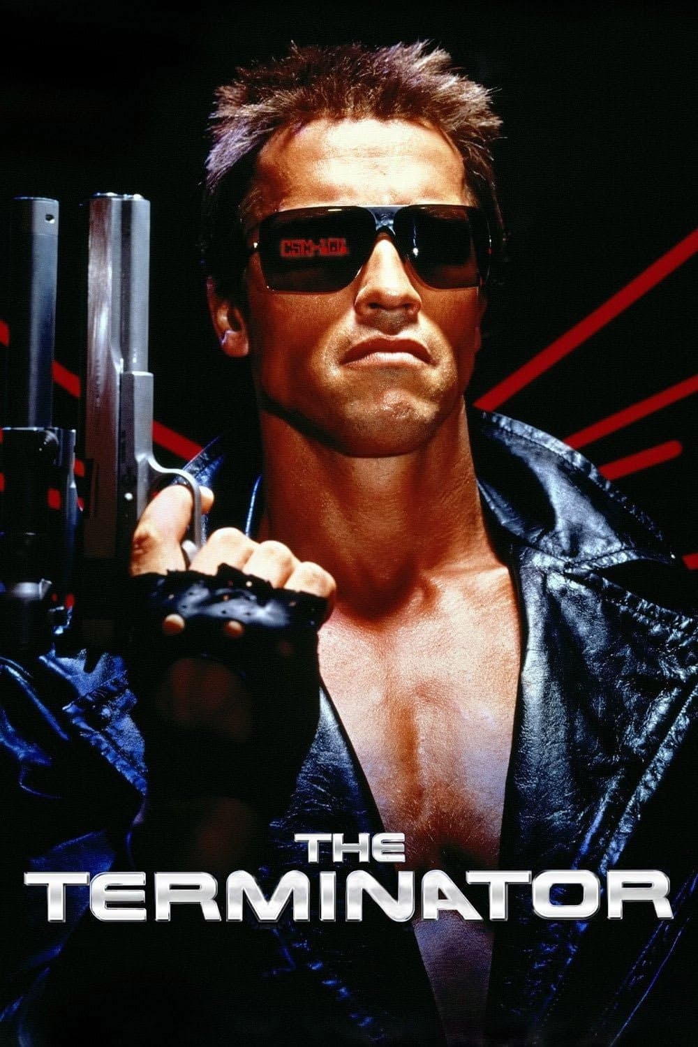 Poster The Terminator