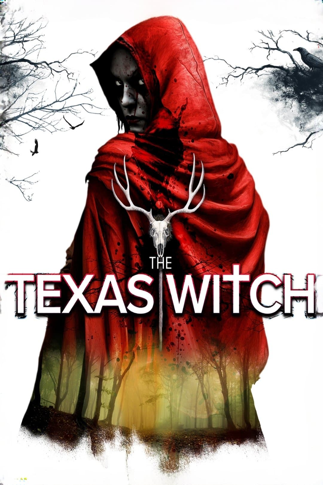 Poster The Texas Witch