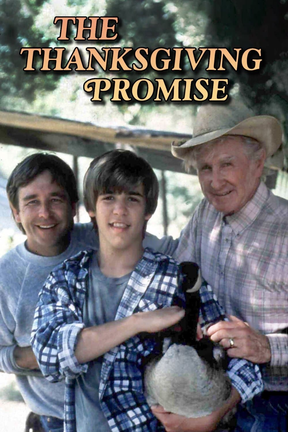 Poster The Thanksgiving Promise