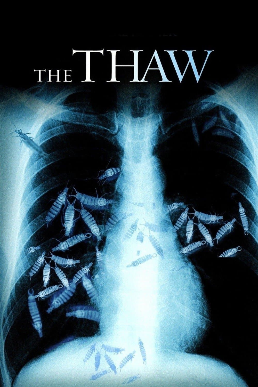 Poster The Thaw