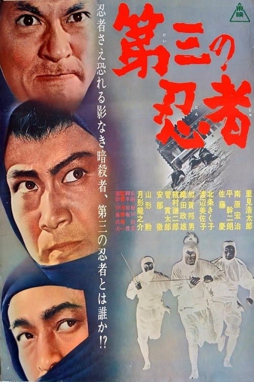 Poster The Third Ninja