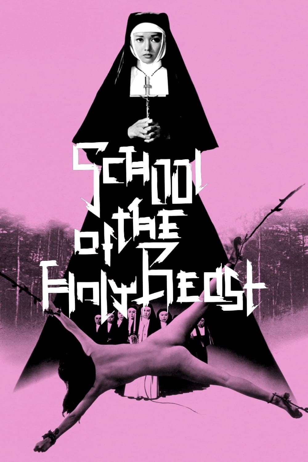 Poster The Transgressor