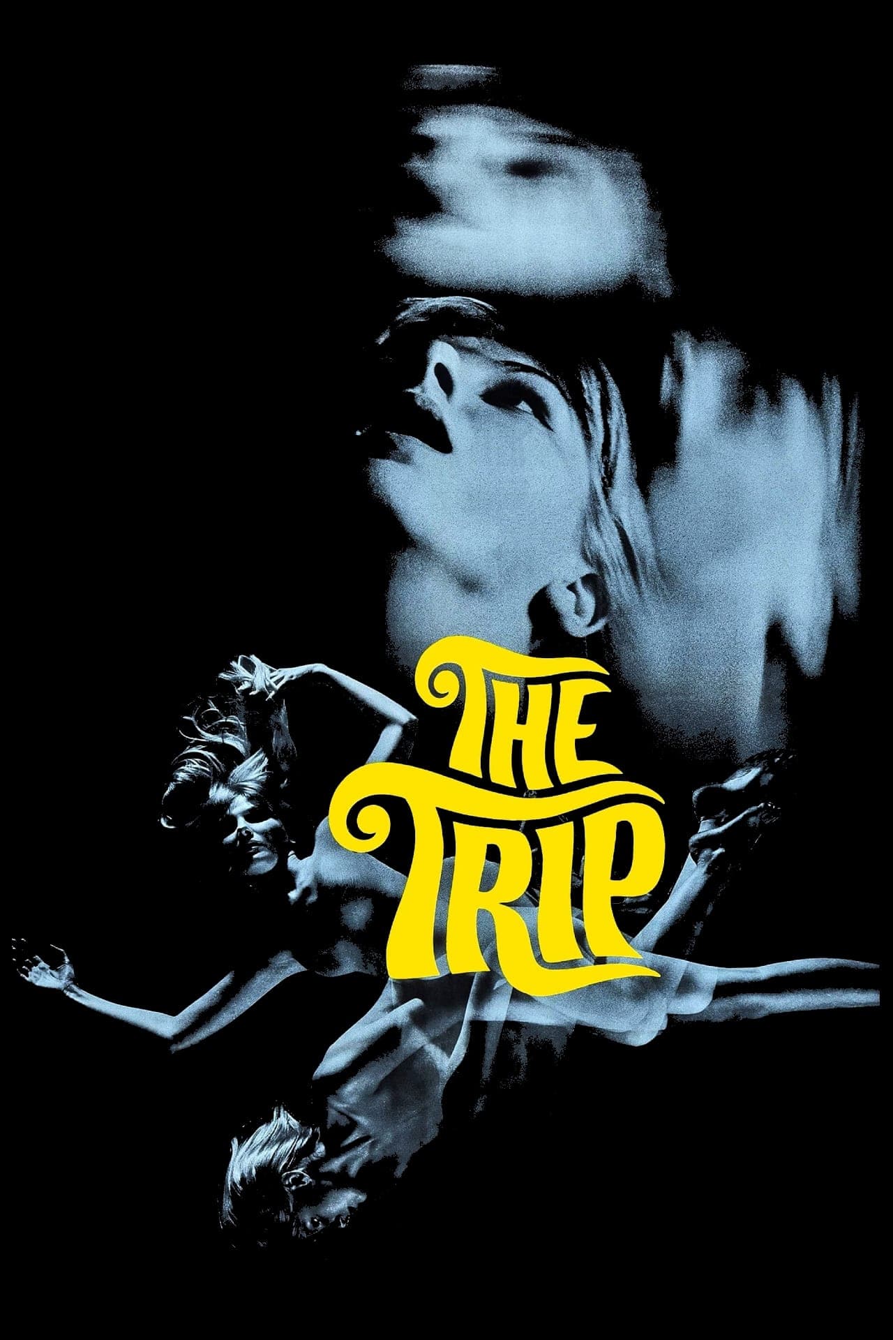 Poster The Trip
