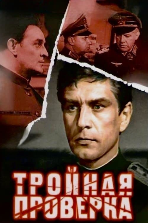 Poster The Triple Control
