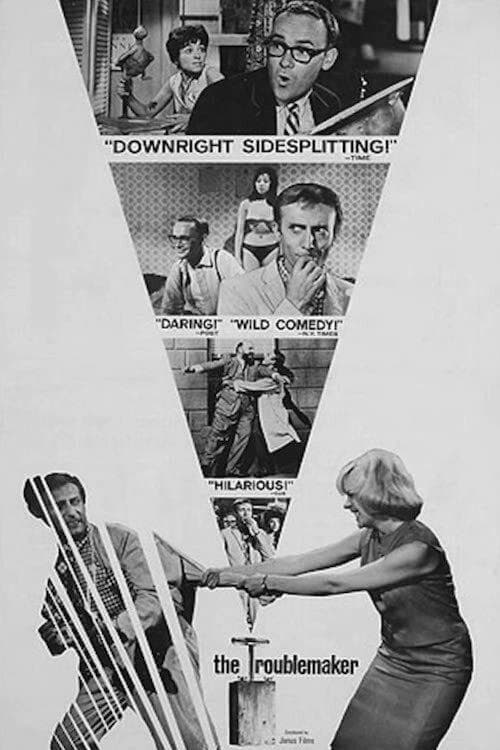 Poster The Troublemaker
