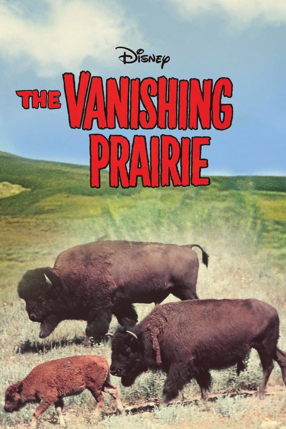Poster The Vanishing Prairie