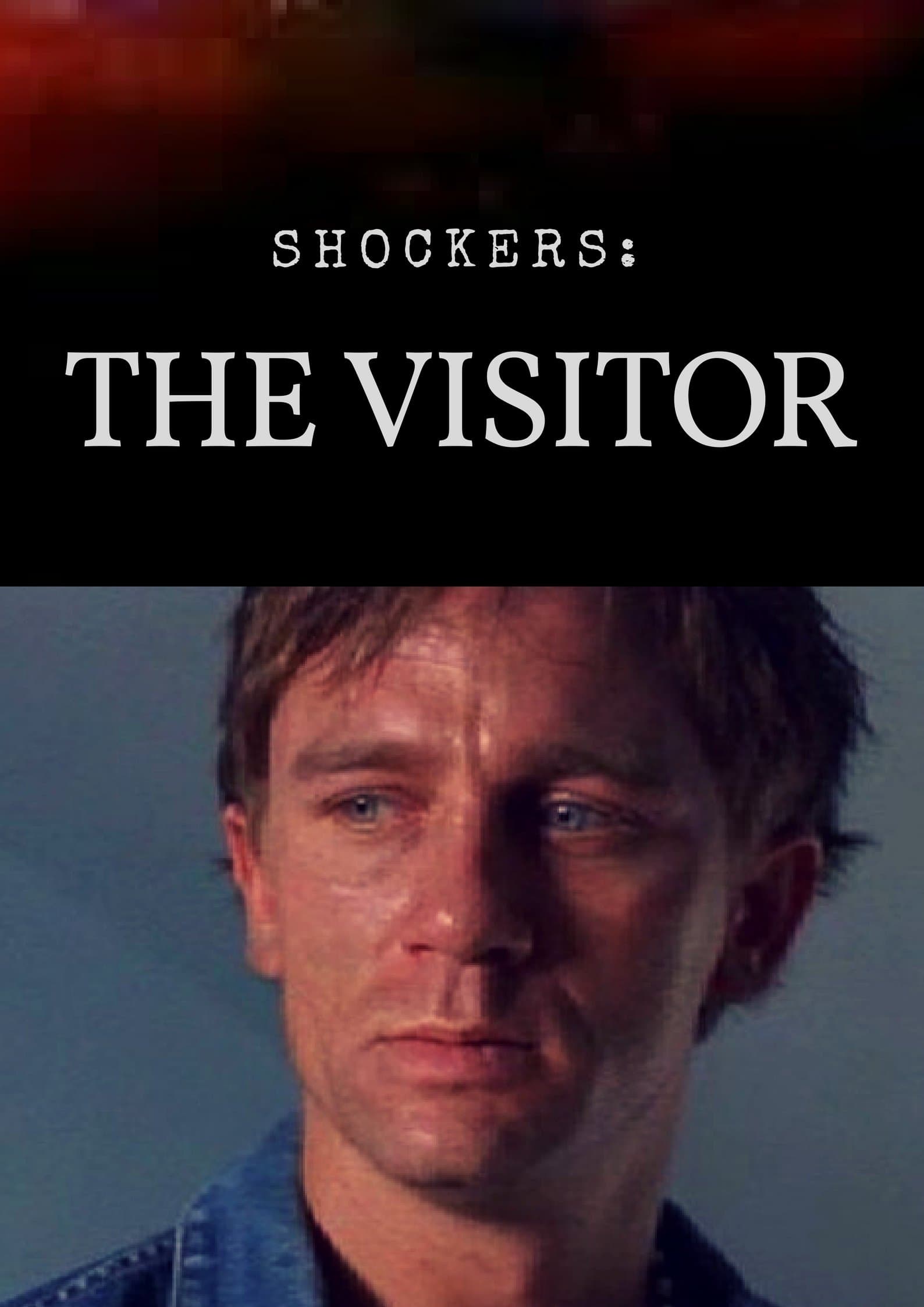 Poster The Visitor