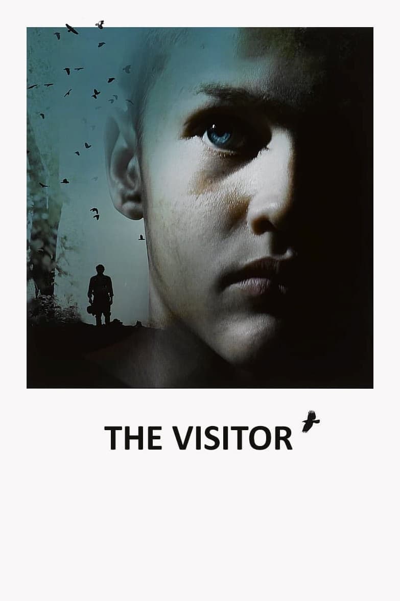 Poster The Visitor