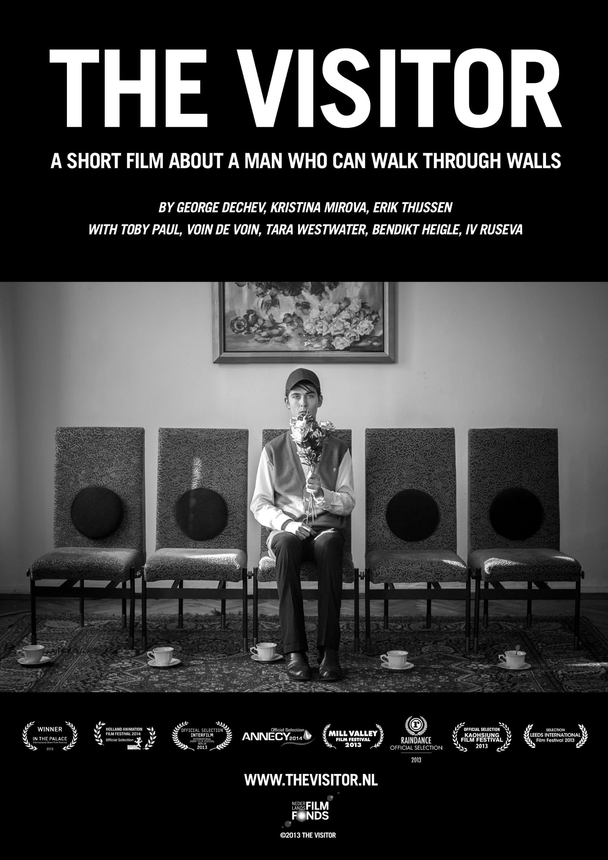 Poster The Visitor