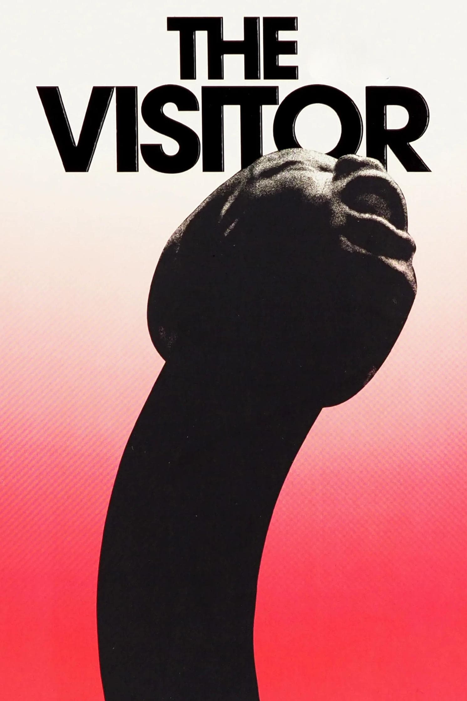 Poster The Visitor