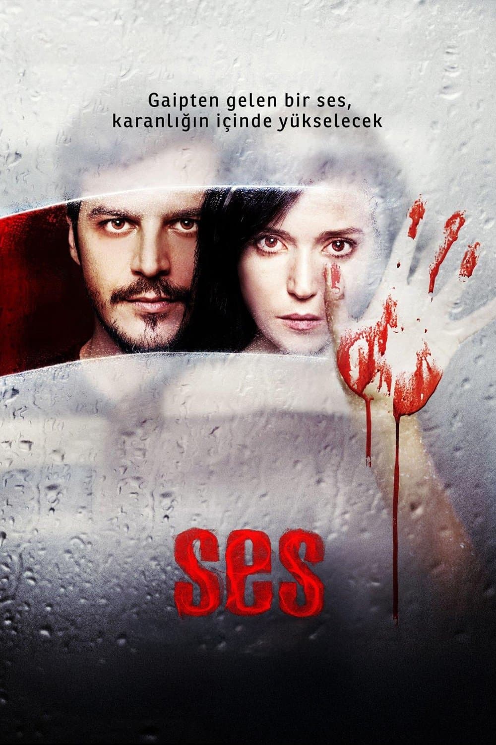 Poster The Voice