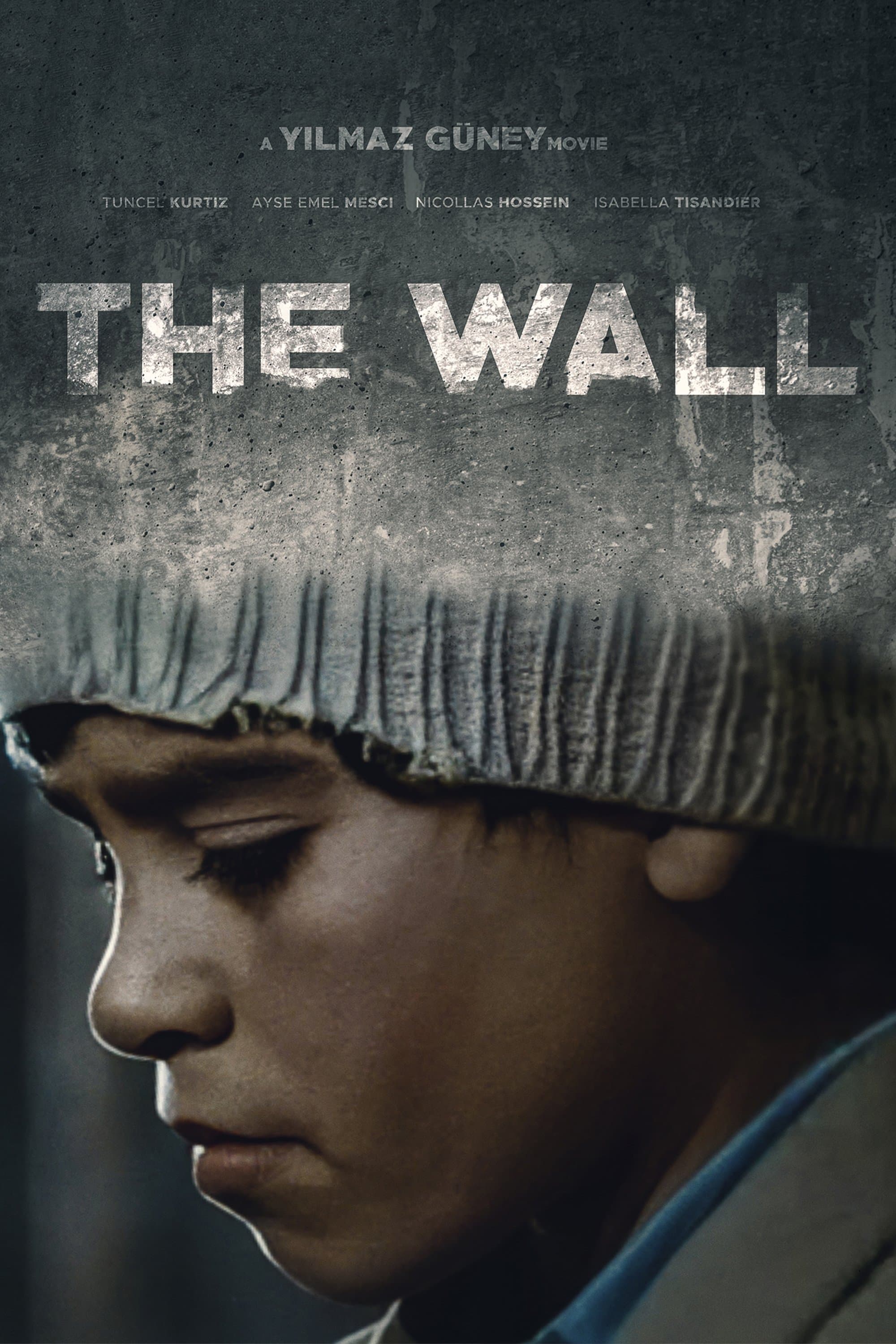 Poster The Wall