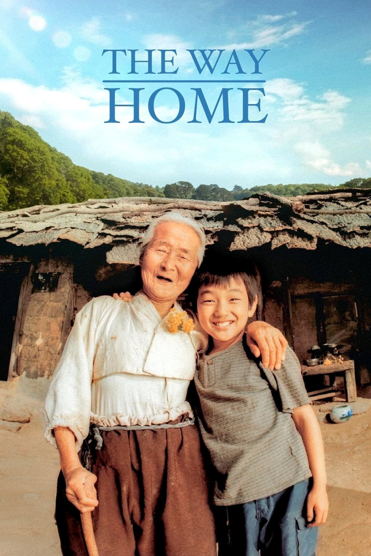 Poster The Way Home