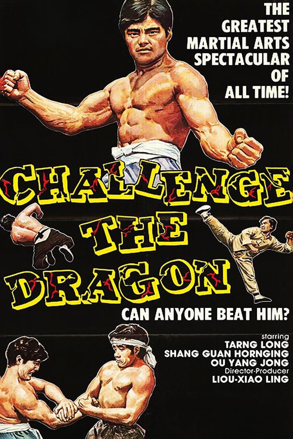 Poster The Way of the Tiger