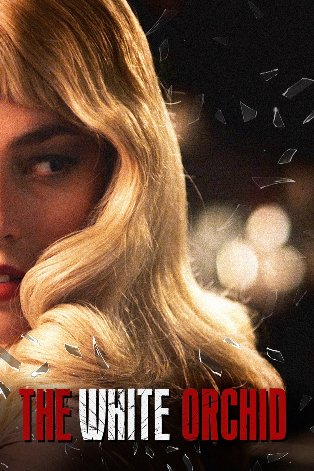 Poster The White Orchid