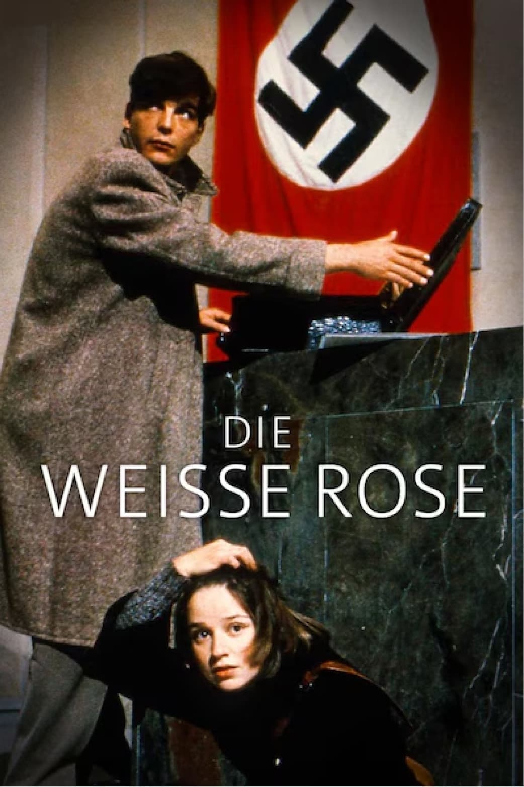 Poster The White Rose