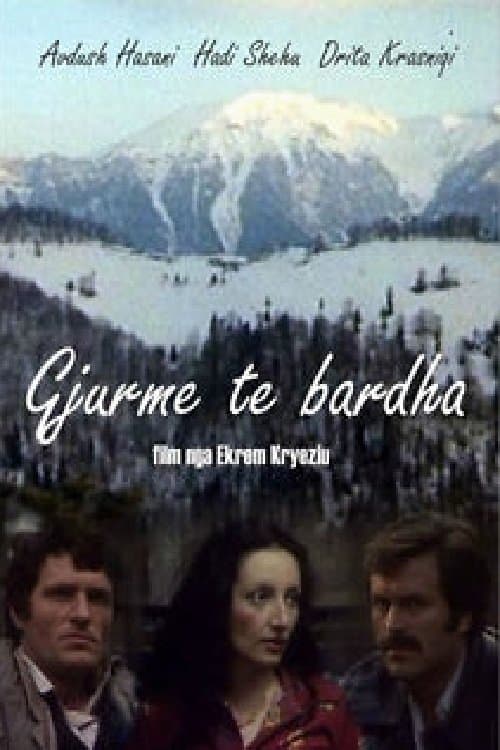Poster The White Traces