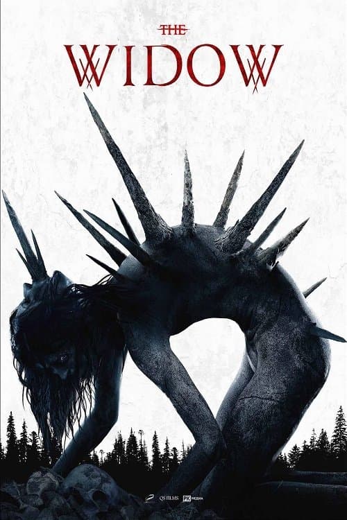 Poster The Widow