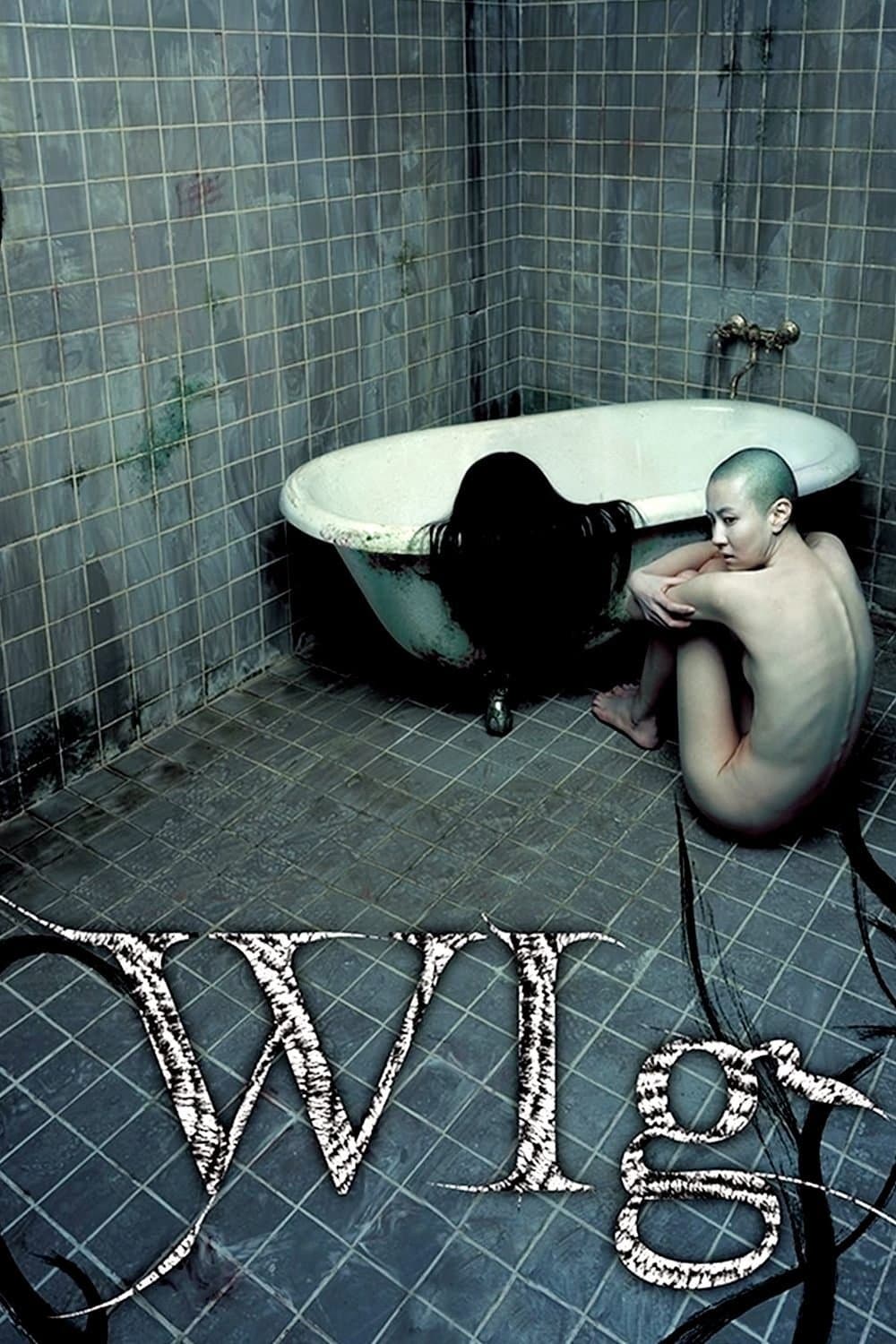 Poster The Wig