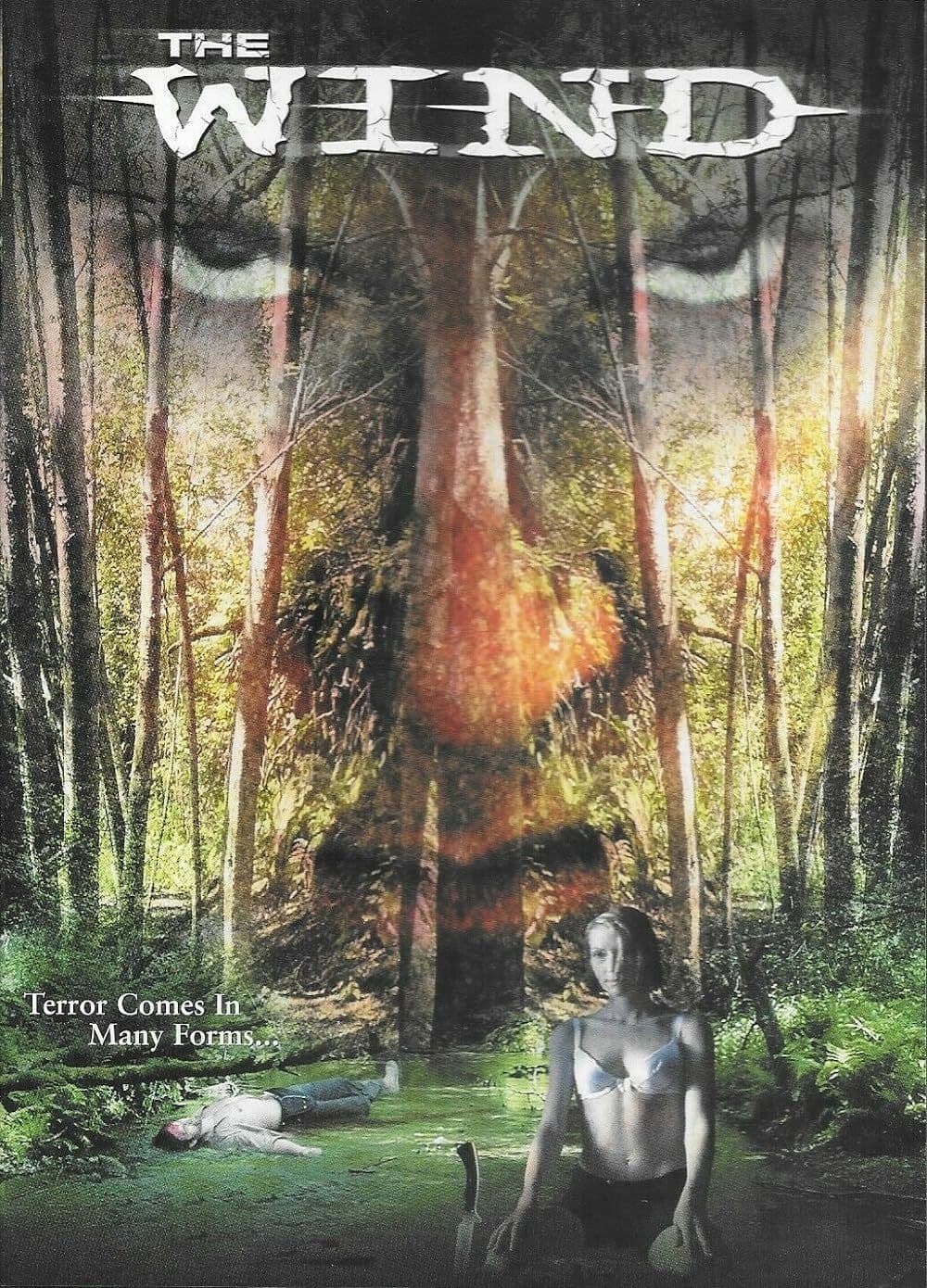 Poster The Wind