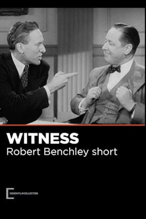 Poster The Witness