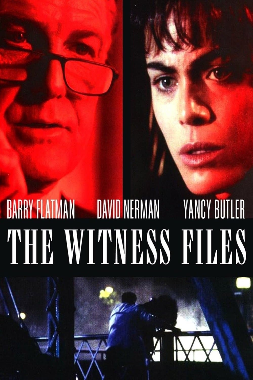 Poster The Witness Files