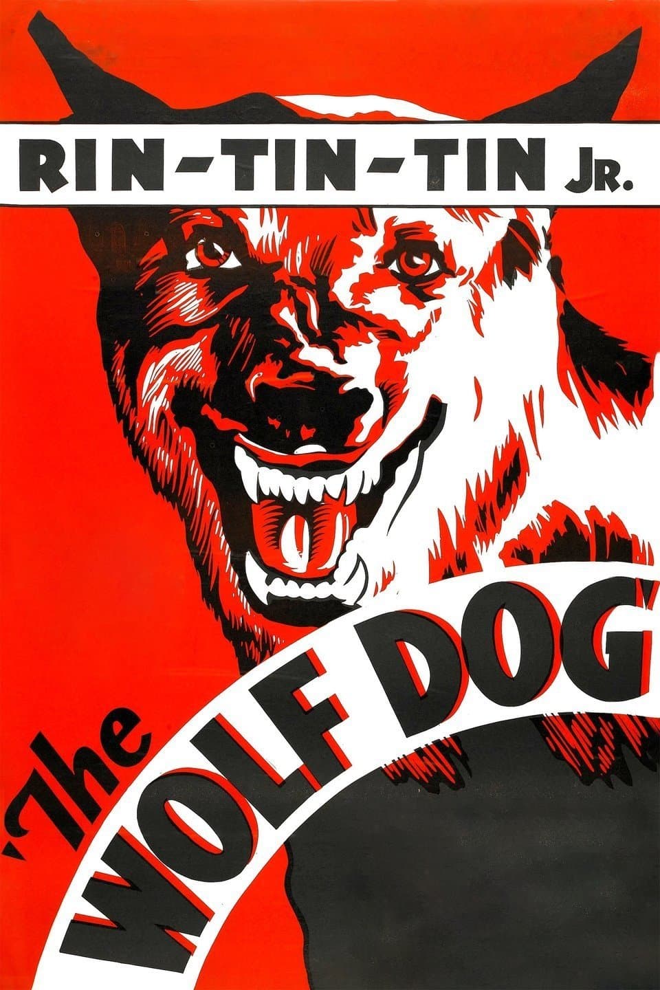 Poster The Wolf Dog