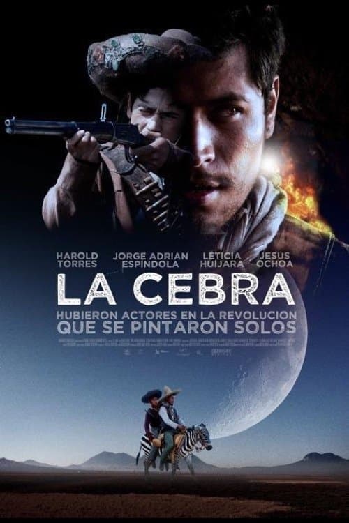 Poster The Zebra