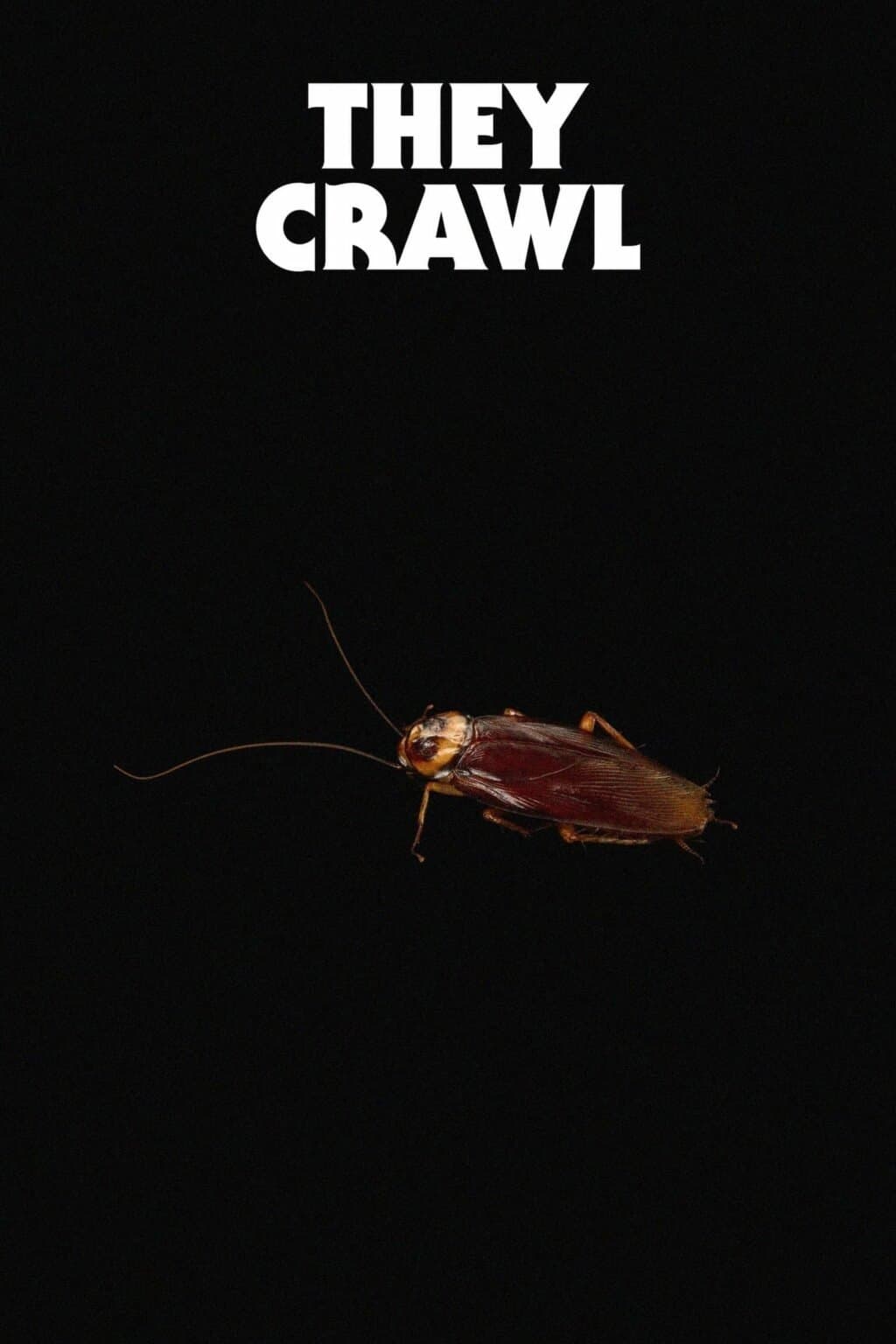 Poster They Crawl