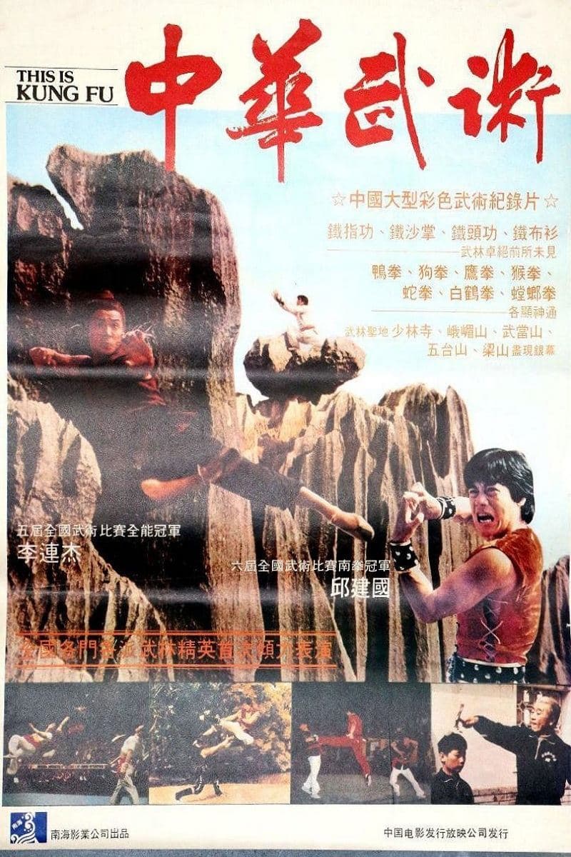 Poster This Is Kung Fu