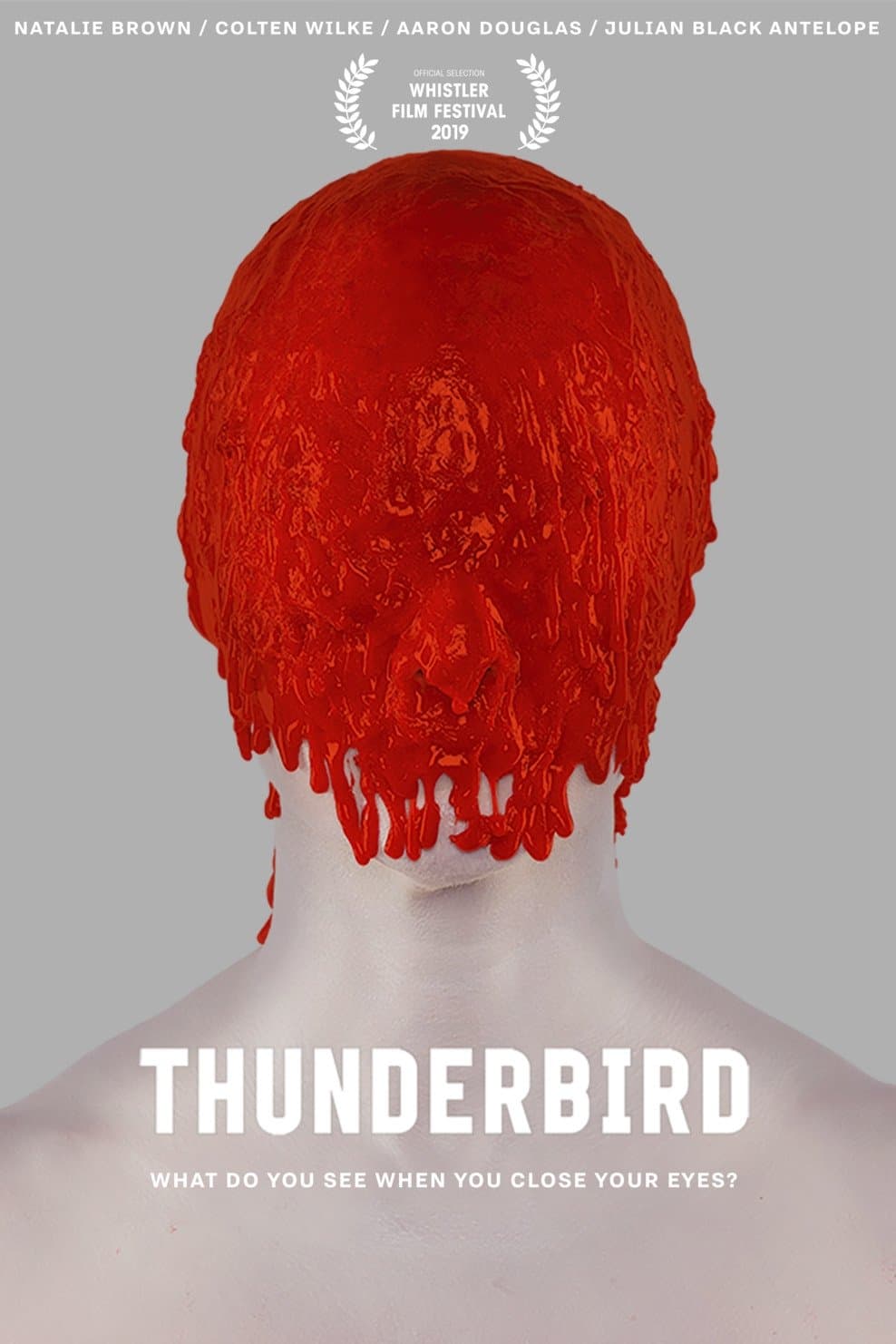 Poster Thunderbird