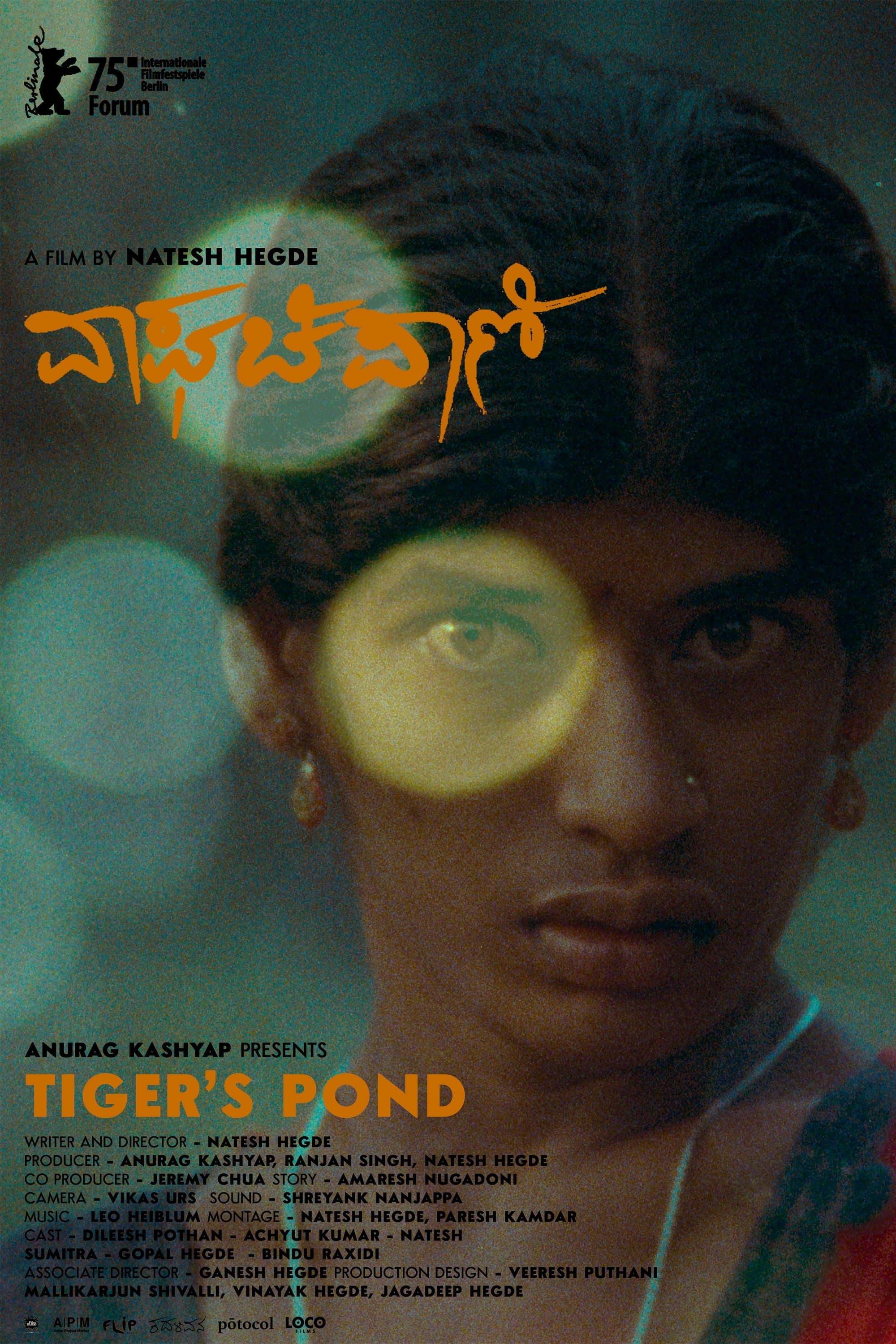 Poster Tiger's Pond