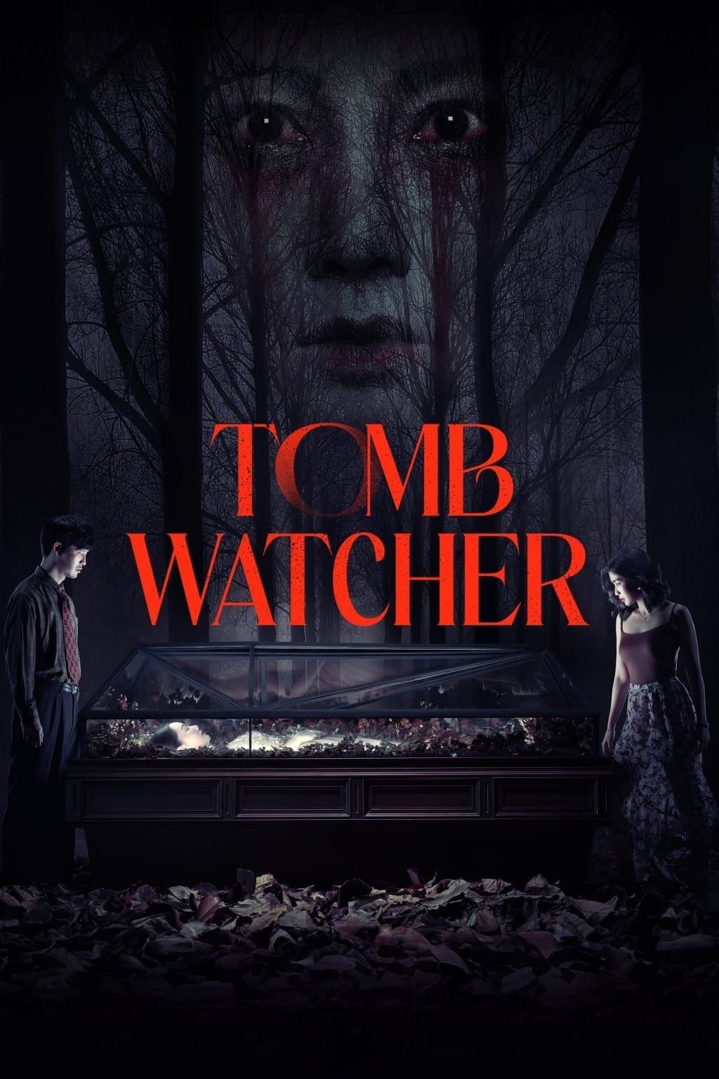 Poster Tomb Watcher