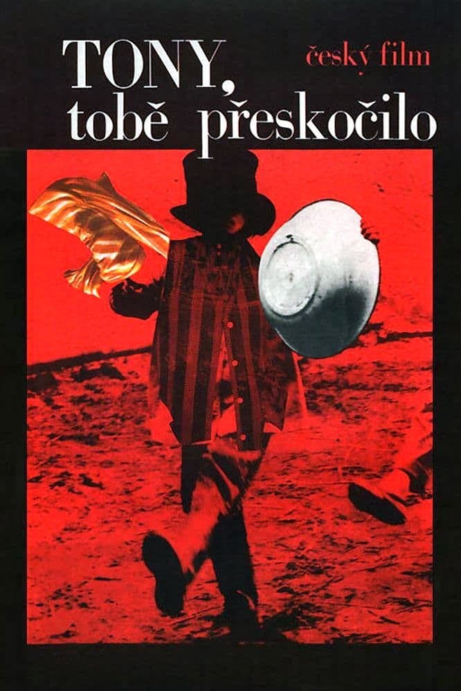 Poster Toni, You're Crazy