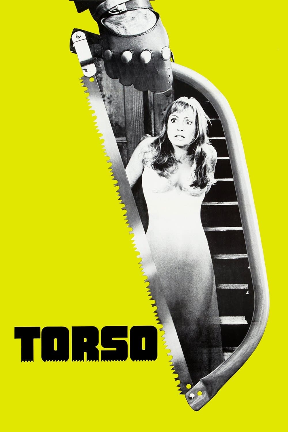 Poster Torso