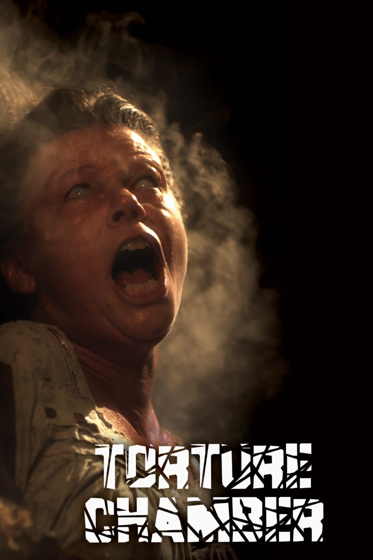 Poster Torture Chamber