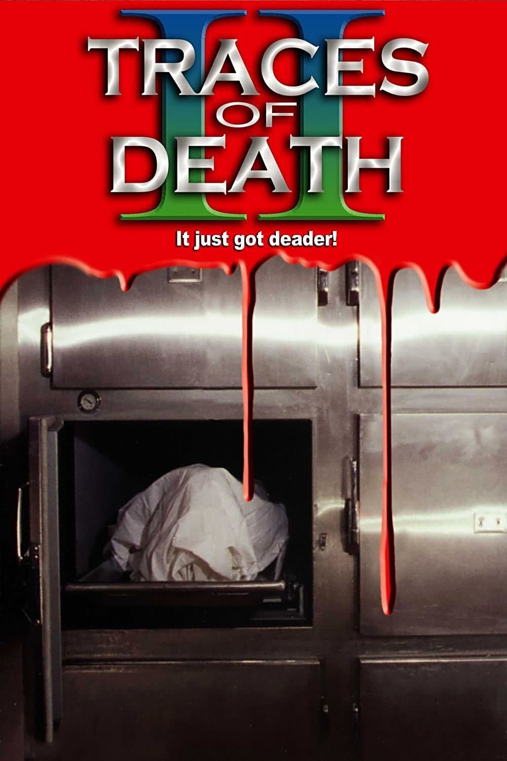 Poster Traces Of Death II