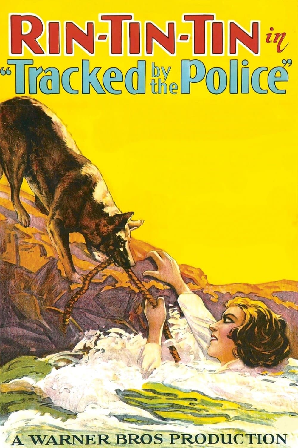Poster Tracked by the Police