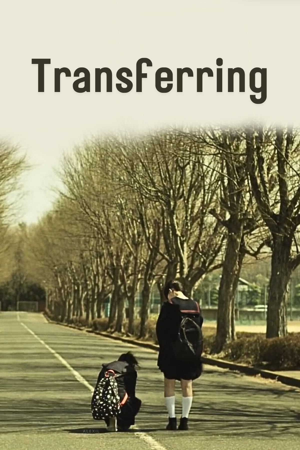 Poster Transferring