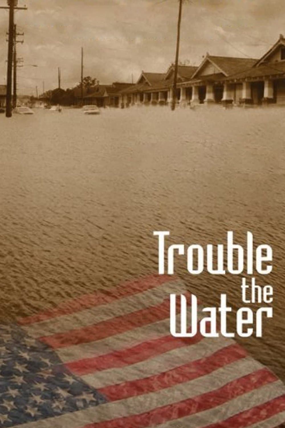 Poster Trouble the Water