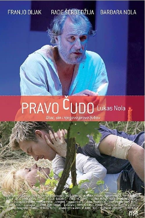 Poster True Miracle