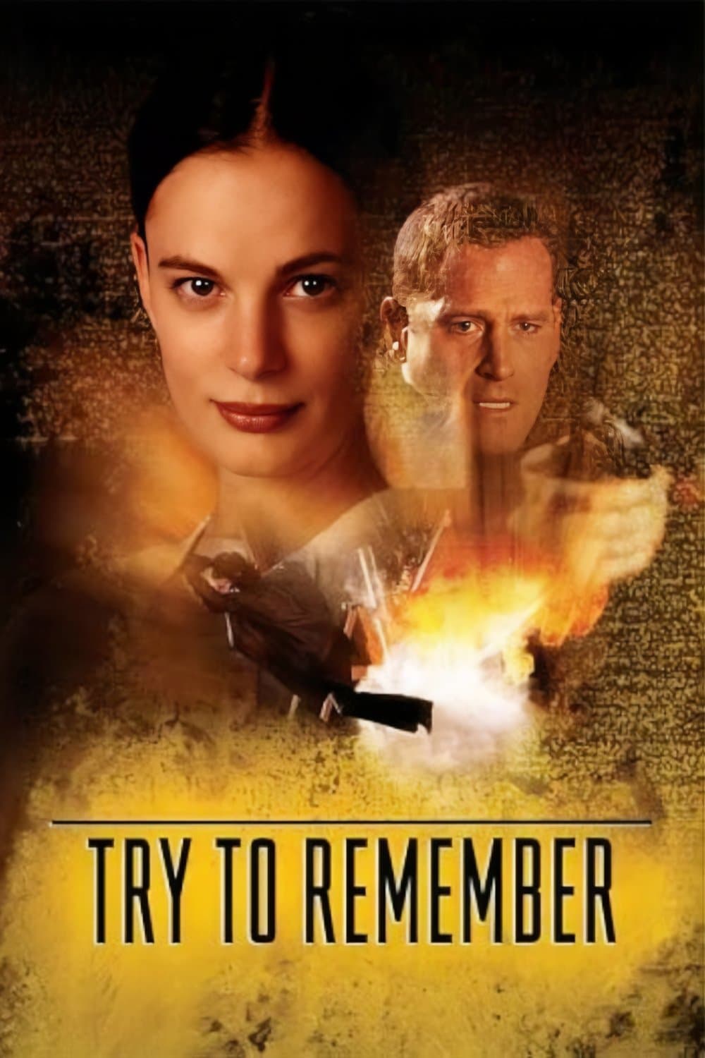 Poster Try to Remember