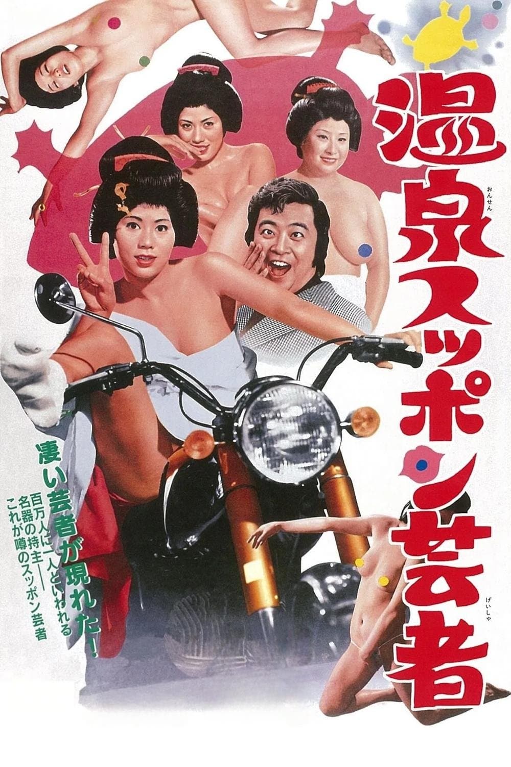 Poster Turtle Geisha