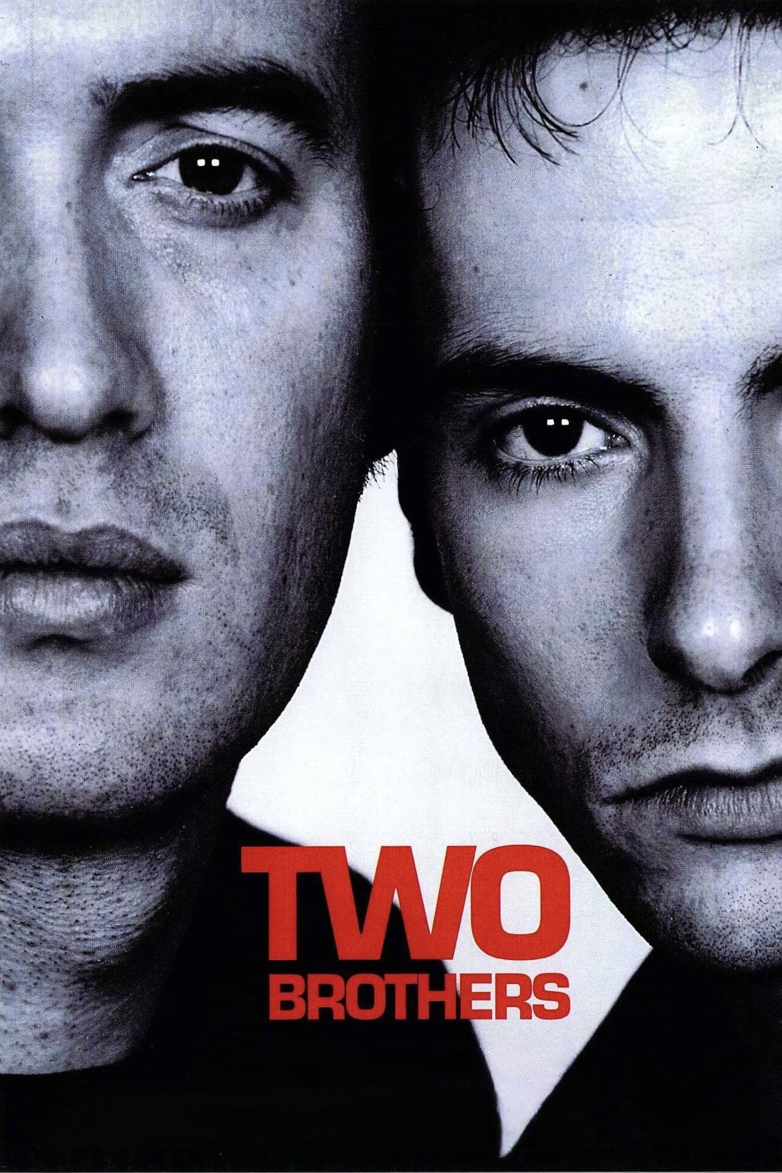 Poster Two Brothers