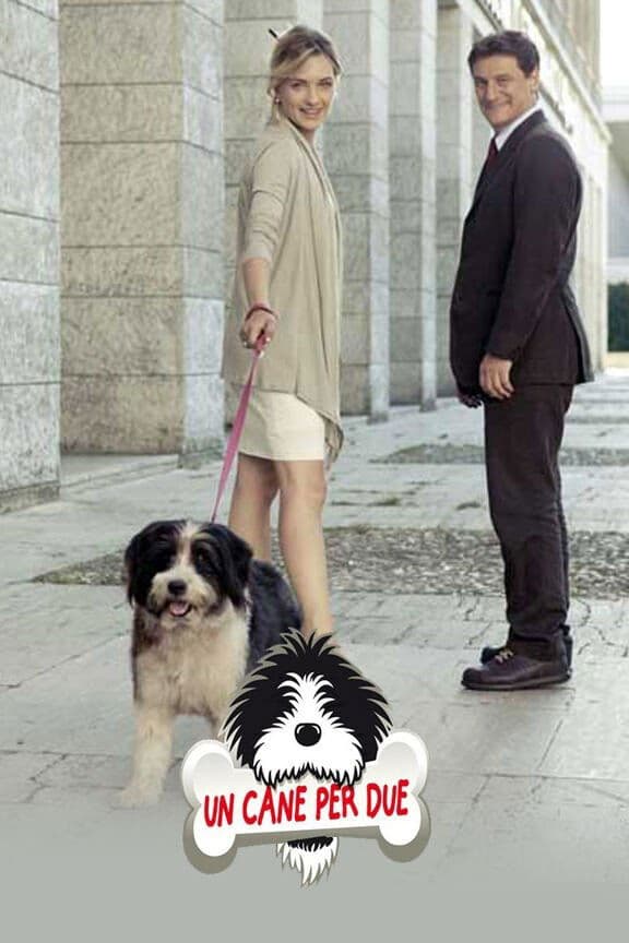 Poster Un cane per due