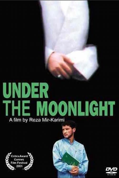 Poster Under the Moonlight